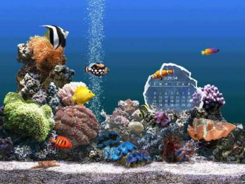 SereneScreen Marine Aquarium 3.0 - Download, herunterladen  3.0